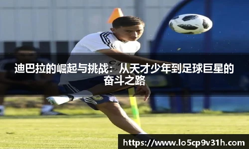 DB旗舰官网